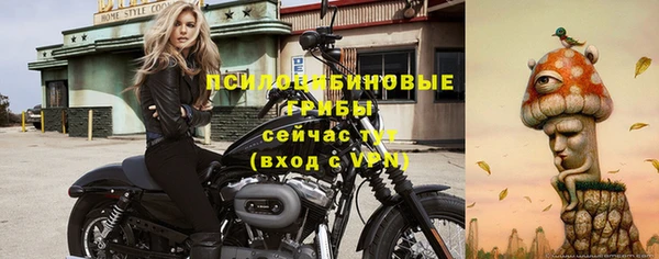 кокс Липки