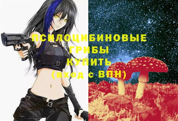 дурь Лихославль