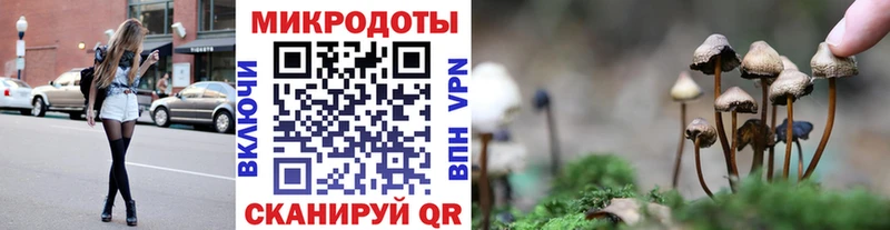 Псилоцибиновые грибы мухоморы  дарнет шоп  Наволоки 